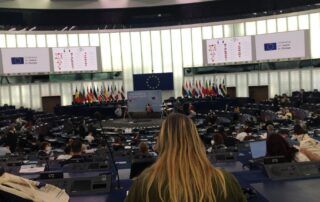 Il parlamento europeo